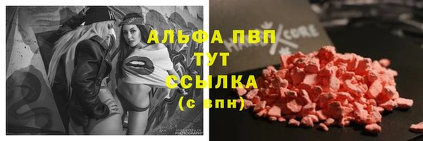 шишки Белокуриха